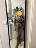 VEROMODA半身裙女2024秋季女裝新款美拉德綁帶格紋A字版型百褶裙時尚百搭 淺麻紗色 170/72A/L 曬單實拍圖