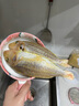 閘坡船鮮曬金線(xiàn)魚(yú)海魚(yú)陽(yáng)江一夜埕咸魚(yú)干海魚(yú)干紅三魚(yú)紅杉魚(yú)紅哥里刀鯉魚(yú) 一夜埕金線(xiàn)魚(yú)干  250g 曬單實(shí)拍圖