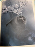 英文原版 DK An Anthology of Aquatic Life 關(guān)于水生生物選集  DK兒童海洋百科全書(shū) 攝影集 Ben Hoare 綠山墻 . 曬單實(shí)拍圖