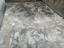 東嶺德固高壓注漿機(jī)防水灌漿水泥環(huán)氧樹(shù)脂聚氨酯聚脲止水灌注空鼓補(bǔ)漏設(shè)備 【專業(yè)款混合套餐】【效果更好】 曬單實(shí)拍圖