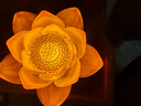 吉祥緣 充電蓮花燈佛燈長(cháng)明燈供燈1對插電充電兩用琉璃供佛燈LED家用 3.5英寸盛蓮款/對【高8.6cm】 曬單實(shí)拍圖