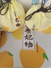 現貨圣甲蟲(chóng)香妃柚禮盒裝4個(gè)10斤肉嫩多汁新鮮水果網(wǎng)紅大柚子 10斤 禮盒裝4個(gè) 曬單實(shí)拍圖
