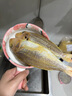 閘坡船鮮曬金線(xiàn)魚(yú)海魚(yú)陽(yáng)江一夜埕咸魚(yú)干海魚(yú)干紅三魚(yú)紅杉魚(yú)紅哥里刀鯉魚(yú) 一夜埕金線(xiàn)魚(yú)干  250g 曬單實(shí)拍圖