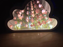 金日滿(mǎn)【成品】教師節送老師云朵郁金香桌面擺件鏡子小夜燈生日禮物女友 20朵郁金香+紐扣電池供電+禮袋 曬單實(shí)拍圖