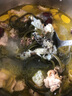 新鮮刺龜魚皮刺鮑魚皮刺豚皮免泡發(fā)煲湯養(yǎng)胃無刺魚皮鮮活現(xiàn)殺 大魚皮1斤（1-2個） 純皮 曬單實拍圖