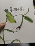 草間四季（人氣畫家、建筑師魚山飯寬新作，溫暖時(shí)光的治愈系畫集。200余幅草間畫作，以小人國里的妙趣生活呈現(xiàn)節(jié)氣流轉(zhuǎn)、物候變換） 曬單實(shí)拍圖