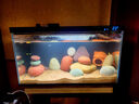 小米魚(yú)缸造景套餐仿真沉木造景石魚(yú)缸裝飾擺件水族箱造景 長(cháng)江石蘑菇屋造景 曬單實(shí)拍圖