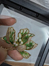 尹木夕海棠花胸針小眾高級感高檔女奢華氣質(zhì)長(cháng)輩生日禮物配飾送媽媽老婆 XZ0567海棠花胸針 曬單實(shí)拍圖