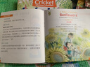 【音頻/送家長(zhǎng)閱讀指南】Babybug蟲(chóng)寶寶2025年訂閱0-3歲幼兒繪本英語(yǔ)畫(huà)報(bào)美國(guó)兒童啟蒙雜志蟋蟀童書(shū)英文2023/24年雜志期刊外國(guó)過(guò)刊 9期打包（24年5-12月+25年1-6月刊） 曬單實(shí)拍圖