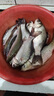 君東 魚(yú)竿君王鯉魚(yú)竿超輕超硬19調臺釣竿日本碳素28調釣魚(yú)竿手竿37調 突破經(jīng)典高碳超輕硬3.9米 28調 曬單實(shí)拍圖