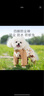 嬉皮狗（hipidog）狗狗防塵褲小型犬四腳衣服防水比熊泰迪遛狗神器戶(hù)外防尿防臟腿套 洛米棕-不包腳 L（建議體重10-13斤） 曬單實(shí)拍圖