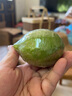 荔鄉人家正宗廣東香水檸檬爆香一級靚果產(chǎn)地直發(fā) 新鮮青檸檬泡水奶茶店 凈重9斤 一級中果&大果(每斤約3-6個(gè)) 曬單實(shí)拍圖