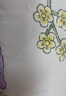 浪莎（langsha）A類(lèi)全棉高檔抱枕被子兩用午睡毯子二合一車(chē)用折疊靠背辦公室枕頭 熊貓胖達【A類(lèi)母嬰級 全棉抗菌】 小號40x40cm-展開(kāi)100x145cm±5cm 曬單實(shí)拍圖