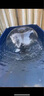 格池（GRECH）噴泉水泵魚池過濾器水循環(huán)凈化系統(tǒng)過濾泵潛水泵 CUF3800 適用4噸左右水 曬單實(shí)拍圖