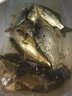 釣嗨尼魚(yú)線隱形尼龍線強(qiáng)拉力漁線釣魚(yú)線釣線海釣線路亞線100米魚(yú)線 主線100米-咖啡色（強(qiáng)拉力） 5號(hào) 曬單實(shí)拍圖
