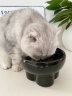 派乐特猫碗陶瓷猫粮碗狗碗猫食盆猫咪饭碗饭盆大水碗斜口碗宠物用品1个 实拍图