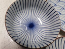 韓龍（HANLONG）日本進(jìn)口波佐見陶瓷餐具家用十草紋藍(lán)繪網(wǎng)紅米飯碗日式拉面碗湯碗 十草紋大盤 曬單實(shí)拍圖