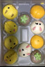 易茂源奶黃包卡通包子饅頭早餐學(xué)生早餐半成品食品速食面點(diǎn)生鮮龍年饅頭 小黃人老虎小兔共960g（30個(gè)） 曬單實(shí)拍圖