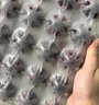 蘇虞仙居高山楊梅新鮮冷凍大東魁浙江禮盒泡酒水果特產(chǎn) 100顆禮盒裝【單果18-23g】 曬單實拍圖