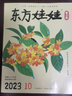 東方娃娃智力版雜志 每月1期 3-7歲幼兒繪本故事書(shū) 兒童科普期刊 益智游戲繪本書(shū)籍 半年/全年訂閱 2025年3月-2026年2月/2025年3月-8月任選 雜志鋪科普童書(shū)創(chuàng  )意閱讀 【半年訂閱】東方 曬單實(shí)拍圖