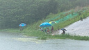 一味 釣魚(yú)小藥鯽魚(yú)餌料野釣鯉魚(yú)誘魚(yú)劑配方春季打窩料魚(yú)食小藥添加劑 一味小藥 果酸 曬單實(shí)拍圖