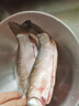 品鮮肴淡水魚(yú)土鯽魚(yú)鮮活魚(yú)現殺漁民野外自然捕獲生鮮水產(chǎn)湖鮮凈膛去內臟 鮮活宰殺4-6條 800g（三去凈重） 曬單實(shí)拍圖