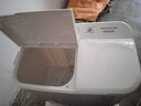金帥（jinshuai）9/10/12公斤半自動(dòng)洗衣機大容量家用 雙缸雙桶波輪 脫水甩干老式  洗滌9公斤+脫水6公斤+強勁動(dòng)力 曬單實(shí)拍圖