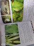 蔬菜病蟲(chóng)診斷與防治彩色圖解 蔬菜高效栽培種植技術(shù)大全教程書(shū)籍 蔬菜病蟲(chóng)害防治常見(jiàn)疾病預防 蔬菜病蟲(chóng)害診斷原色圖譜書(shū)籍 蔬菜種植技術(shù)圖譜書(shū)籍 曬單實(shí)拍圖