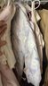 戴維貝拉（DAVE＆BELLA）新生兒連帽爬服女寶寶羽絨連體衣小童外出服男寶睡衣秋冬新款哈衣 貓咪印花【現(xiàn)貨】 90cm （建議身高80-90cm） 曬單實拍圖