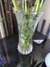 军英（JUNYING） 军英 玻璃花瓶彩色磨砂透明水培植物插花瓶客厅餐厅摆件花瓶 加厚水晶玻璃瓶33-2 1只装 实拍图