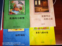 整本書分級大閱讀課程叢書 贈閱讀手冊 孤獨(dú)的小螃蟹 魔鏡 小布頭奇遇記 米粒與糖巫婆 二年級上冊必讀課外書正版推薦快樂讀書吧 二年級上冊 4本套裝 曬單實(shí)拍圖