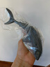 MECHILE海洋動(dòng)物模型套裝仿真鯊魚海豚海獅海豹白鯨企鵝海龜藍(lán)鯨白鯨螃蟹 海洋動(dòng)物18件套裝 曬單實(shí)拍圖