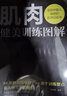 肌肉健美訓(xùn)練圖解德拉威爾肌力量運(yùn)動(dòng)解剖學(xué)圖譜健身書籍教程大全私人教練徒手健身精準(zhǔn)拉伸訓(xùn)練體能訓(xùn)練書 曬單實(shí)拍圖