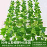 雙盟仿真藤條爬山虎葉婚慶節慶裝飾假樹(shù)葉藤蔓塑料花藤下水管遮擋綠葉 曬單實(shí)拍圖