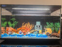 瑾倫魚(yú)缸底砂造景底沙水族箱裝飾石頭白沙水晶砂白石子五彩石雨花石 海藍玻璃珠1斤 曬單實(shí)拍圖