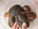 野生黑牛肝菌新鮮云南野生菌宴當季時(shí)令食用菌類(lèi)美味蘑菇鮮貨菌子 野生黑牛肝菌 500g/份 曬單實(shí)拍圖