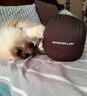 OSTRICHPILLOW西班牙鴕鳥(niǎo)枕旅行記憶棉U型旅行護頸飛機午休睡眠隨枕頭節日禮物 鴕鳥(niǎo)枕藍灰色[送眼罩收納袋] 曬單實(shí)拍圖
