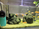 BESSN鈦片龍魚(yú)缸加熱棒大魚(yú)缸自動(dòng)恒溫變頻省電水族箱加溫棒防爆加熱器 鈦芯500W蜂鳴報警/90-120CM缸適用 曬單實(shí)拍圖