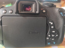 佳能（Canon）佳能750D 77D EOS 750D 77D 入門級 單反 旅游新手 全新店保5年 佳能750D單機身 官方標(biāo)配 曬單實拍圖