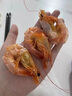 骉祥【好吃到嗦手指】大號即食烤蝦干淡干烤大蝦干零食蝦仁對蝦干貨y 【烤大蝦】約20-30只 曬單實拍圖
