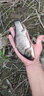 美釣家（MEDICOM） 涂膠魚護加厚黑坑漁戶防掛小漁護速干釣魚網(wǎng)兜魚護便攜迷你超長野釣魚護合金加固 加厚紅口卡邊25*2米（送包） 曬單實拍圖
