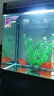 博宇（BOYU）魚(yú)缸 水族箱 熱彎玻璃 40寬 上過(guò)濾家用客廳龍魚(yú)缸養水草金魚(yú)過(guò)濾 EA-120香檳色魚(yú)缸整套(120*40*130) 曬單實(shí)拍圖