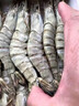海鮮蝦類巨型超大蝦黑虎蝦生鮮大蝦海鮮鮮活急凍特大海蝦鮮蝦 中號15只裝 900g(凈重)  1盒暢想裝 曬單實拍圖