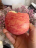 夢(mèng)宛怡丑蘋(píng)果 冰糖心丑蘋(píng)果新鮮水果云南昭通紅露蘋(píng)果中秋節禮物禮盒 精美禮盒裝5斤80-85mm 脆甜多汁 曬單實(shí)拍圖