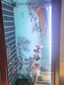 百因美（BIOZYM）龍魚(yú)活力配方維生素水族藥劑維他命魚(yú)缸養魚(yú)用品龍魟魚(yú)營(yíng)養液 龍魚(yú)活力配方1000mL【增食欲*助力發(fā)色】 曬單實(shí)拍圖