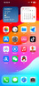 iPhone美版機(jī) Apple 蘋果 iPhone 14plus 三網(wǎng)通 拆封激活全新手機(jī) 14Plus 星光色 6.7寸 128GB 美版有鎖 曬單實(shí)拍圖