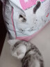 ROYAL CANIN 皇家猫粮  全价粮 营养猫粮 怀孕母猫小猫 1-4月龄 BK34猫奶糕 10kg 实拍图
