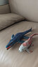 林暢模玩白堊紀兒童恐龍玩具影版海底生物仿真動(dòng)物史前巨獸海洋模型手辦 【滄龍+鄧氏魚(yú)】 曬單實(shí)拍圖