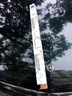 奔馳雨刮器原廠(chǎng)前風(fēng)擋雨刮片汽車(chē)無(wú)骨雨刷進(jìn)口膠條接口專(zhuān)用4S專(zhuān)供適用 奔馳C260L/300L【23-今款】 曬單實(shí)拍圖