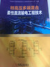 特高壓多端混合柔性直流輸電工程技術(shù) 趙建寧 陳兵 工程運行方式 設備工作原理 控制保護 參數設計 曬單實(shí)拍圖